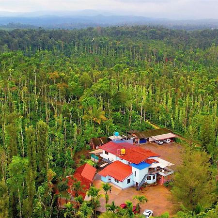 New Organic Home Stay Mudigere Luaran gambar