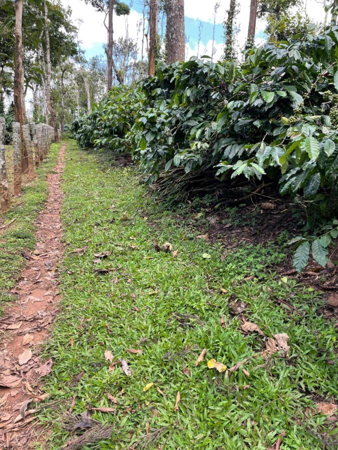 New Organic Home Stay Mudigere Luaran gambar