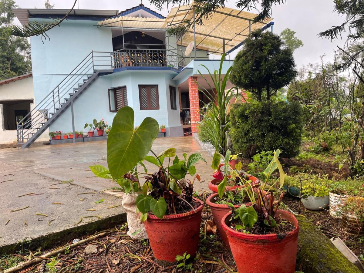 New Organic Home Stay Mudigere Luaran gambar