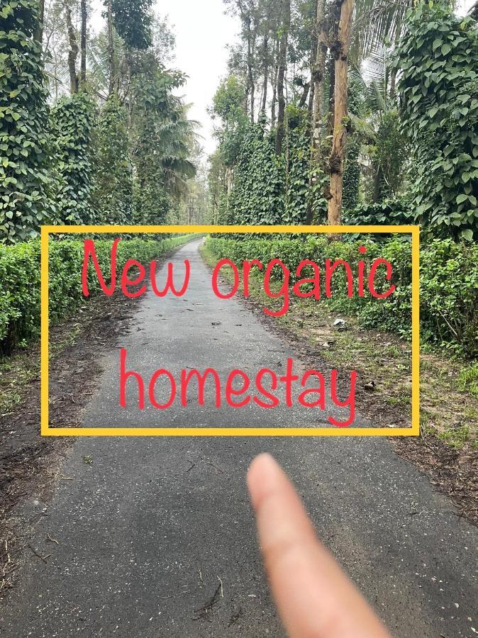 New Organic Home Stay Mudigere Luaran gambar