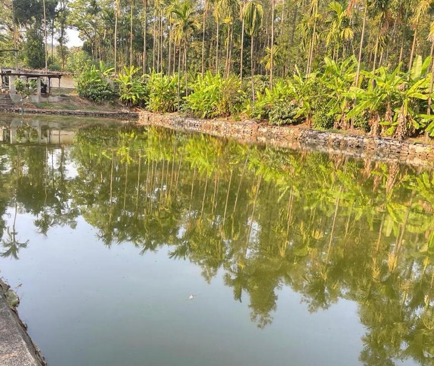 New Organic Home Stay Mudigere Luaran gambar