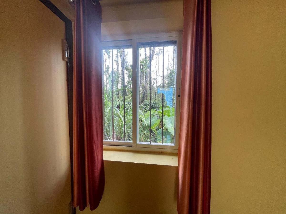 New Organic Home Stay Mudigere Luaran gambar