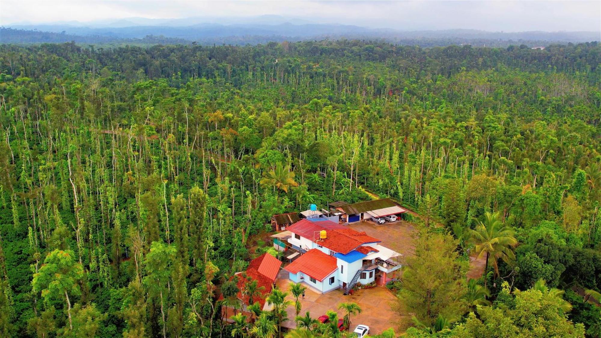 New Organic Home Stay Mudigere Luaran gambar