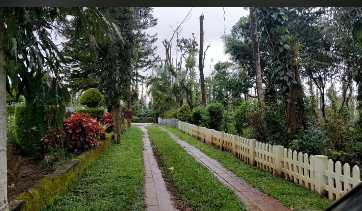 New Organic Home Stay Mudigere Luaran gambar